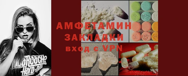 шишки Болотное