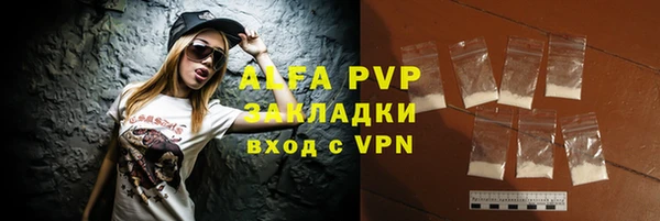 стафф Новодвинск