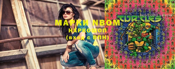 шишки Болотное