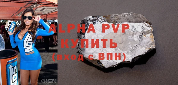 шишки Болотное