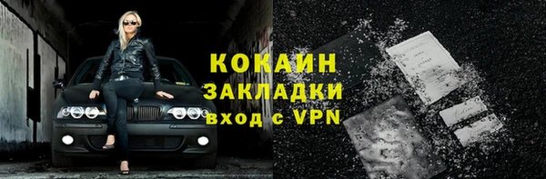 стафф Новодвинск